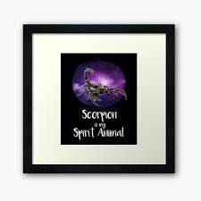Our attitude to life, to people around us and also some character. Scorpion Is My Spirit Animal Scorpio Lover Scorpion Love Scorpion Pet Scorpion Insect Scorpion Animal Framed Art Print By Insanius Redbubble