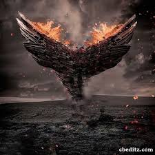 Free to download, you take on combatants as player vs player. Fire Wings Cb Background Download Love Background Images Background For Photography Photo Background Images