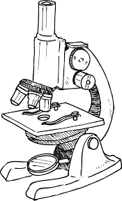Free Microscope Drawing, Download Free Microscope Drawing Png Images, Free  Cliparts On Clipart Library