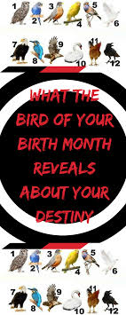 Bird Of The Month What The Bird Of Your Birth Month Reveals About Your Destiny Birth Month Symbols Birth Month Alternative Medicine