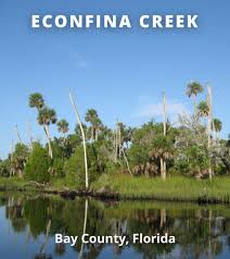 Anthony Casillas Obituary (1984