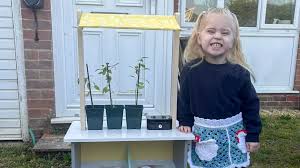 Masked teenagers destroy four-year-old’s prized egg stall