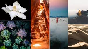 On tuesday, you will import your homework images and create a contact sheet. Elements And Principles Of Photography Fmopa Florida Museum Of Photographic Arts Tampa Florida