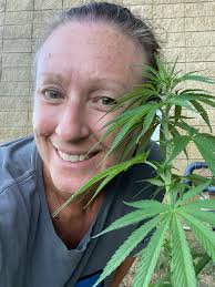 Cannabis concentrate can serve as the base for many of your DIY hemp  creations!