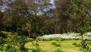 Gardens are a beautiful place for romantic walks or nature exploration with children. 32 Romantic Places In Delhi And Its Vicinity To Visit In 2021