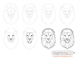 How To Draw Lion Face Head Step By Step Easydrawingtips Lion Face Drawing Lion Sketch Lion Painting