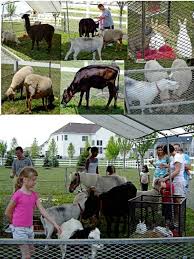 Of events including birthday parties, community events, daycares, church events, etc. Philadelphia Traveling Petting Zoos For Birthday Parties