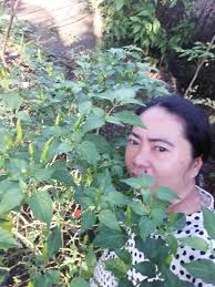 Let's welcome our new members! Colton Herriford, Paul Torres, Nik Enqvist,  Wesley Aloshawan Dowdle Jr., Bryan Park, Stanley Mapaliey, Ben Rangel Jr.,  John Maxwell, Davis Mason, Joe Campos, Mark Dawson, Mark Edwin,