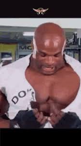 We did not find results for: Lightweight Baby Ronnie Coleman Gifs Tenor