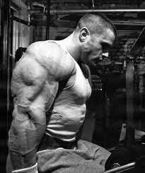 170 lbs (77.1 kg) height: 260 Bodybuilding Ideas In 2021 Bodybuilding Bodybuilders Men Arnold Schwarzenegger Bodybuilding