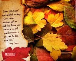 I Love This Come Little Leaves Said The Wind One Day Come To The Meadow With Me And Play Put On Yo Autumn Leaves Art Autumn Poems First Day Of Autumn