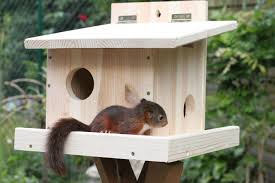 Eichhornchen Kobel Bauanleitung Skizze Bauplan Schlafhaus Mit Bildern Diy Gartenprojekte Tierhauser Diy Gartendekoration