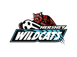 We have 34 free wildcats vector logos, logo templates and icons. Wildcats Logo Png Transparent Svg Vector Freebie Supply