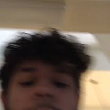 Stream DANIMALS music