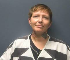 Name LANGLEY, KAYLA IRIS Race White Sex Female DOB 1992-04-22 Arrest Date  2021-05-10 Held For Agency Burgaw Police Department Charges