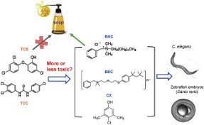 Benzalkonium Chloride Benzethonium Chloride And Chloroxylenol Three Replacement Antimicrobials Are More Toxic Than Triclosan And Triclocarban In Two Model Organisms Sciencedirect