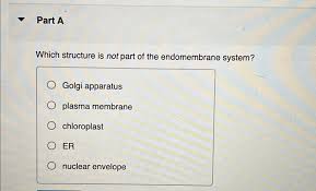 The Endomembrane System – Fundamentals Of Cell Biology
