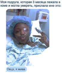 Погляньте, що користувач анастасия марчук (nastagirzeva) знайшов на pinterest — найбільшій у світі колекції ідей. Pin Ot Polzovatelya Marchuk Anastasiya Na Doske Mint Veselye Memy Smeshnye Memy Smeshnye Shutki