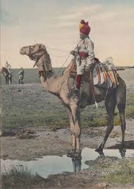 Fighter jets, drones and other weaponry will also be deployed. 87 Military Camels Elephants Reindeer Ideas Camels History War