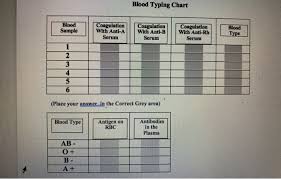 Solved Blood Typing Chart Blood Sample Coagulation With A