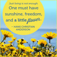 Just Living Is Not Enough One Must Have Sunshine Just Living Is Not Enough One Must Have Sunshine Freedom And A Little Flower Han Hans Christian Anderson Quotes Flower Quotes Flower Quotes Inspirational