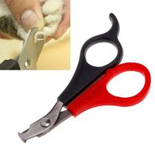 Try using a cat nail clippers. Pet Dog Cat Nail Clippers Cutter Claw Grooming Scissors Trim Trimmers Toe Care Cat Nail Clipper Nail Cutter Catnail Clipper Cat Aliexpress