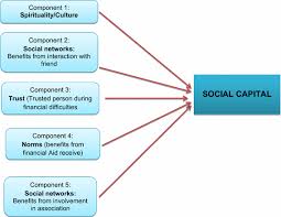Any foreign national who is not a citizen of malaysia intending to enter and reside in malaysia as a permanent resident may apply for an entry. Components Of Social Capital From The Malaysian Perspective Download Scientific Diagram