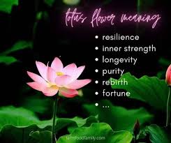 Lotus Flower Meaning Symbolism And Colors Buddhist Symbol Of Purity Lotus Flower Meaning Flower Meanings Buddhist Symbols