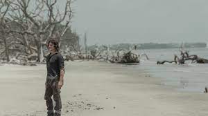 Deutsche fans können die neuen folgen der 4. The Walking Dead Staffel 11 Das Musst Ihr Zum Grossen Serienfinale Wissen Netzwelt