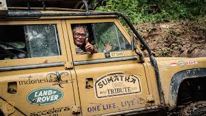 Image result for Sandglow 1981 Land Rover