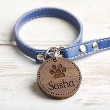 Pin On Military Dog Training