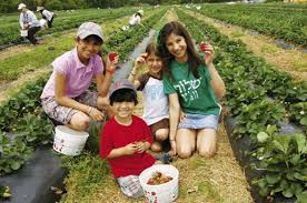 Maybe you would like to learn more about one of these? Ripe For The Picking Charleston Sc Charleston Magazine