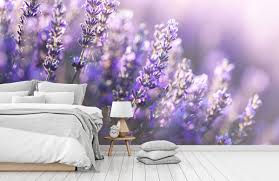 Explore lavender wallpaper on wallpapersafari | find more items about purple wallpaper, blue wallpaper, purple and silver wallpaper. Dreamy Lavender Photo Wallpaper