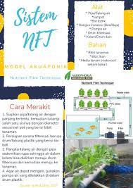 Model Akuaponik Apa Saja Bahan Dan Peralatan Model Akuaponik Sistem Nft Nutrient Film Technique Model Film Tanaman