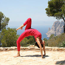 We did not find results for: Chakrasana Wikipedia