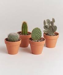 Simply click on the clue posted on universal crossword on december 23 2016 and we will present you with the correct answer. 12 Rad Happy Doodle Inspiration Ideas Cactus Cactus Art Kindergarten Workbooks