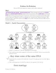 The organisms do not come from a common ancestor, but evolve similarly in structure or function because they live in the same type of environment. Evolution Of The Horse Worksheet Answers Promotiontablecovers