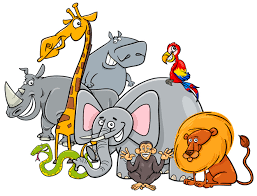 Cartoon safari animals group | Premium Vector