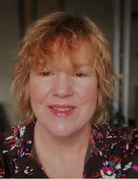 Tioga County, New York Government