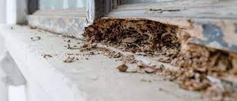 Please explore our services and information online and then give us a call. Termite Treatment How To Get Rid Of Termites Gregory Pest