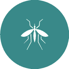 Indoor & outdoor pest control services for the long island area. Ny Pest Control Company Pied Piper Pest Control