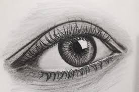 Drawing, the art or technique of producing images on a surface, typically paper, by means of marks, usually of ink drawing was recognized as its own finished form in the east early on, but it was. 29 Drawing Ideas For Your Sketch Book Artst
