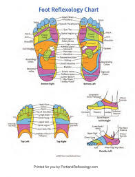 Foot Reflexology Foot Hand And Ear Reflexology In Portland