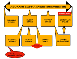 Concept Of Sopha Inflammation A Critical Study