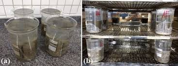 This step needs to pay attention to the water content of the dough, because this dough should be a certain degree of support, so the water content is not large, and the liquid content of 320g flour is 55+150g milk. Samples Previously Immersed A And Beakers In An Oven For Heat Download Scientific Diagram