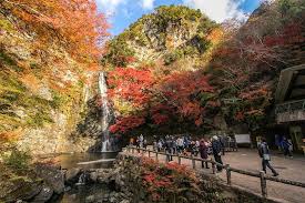 Osaka, japan guide with all the in depth information you need. Autumn Color Reports 2019 Osaka Peak Colors