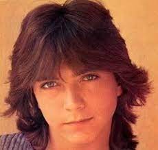 These trendy hairstyles for little boys are popular and stylish, and will take your boy's hair to the next level. Men S 1970s Hairstyles An Overview Hair Makeup Artist Handbook