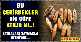 Hurmayi Yedikten Sonra Cekirdegini Cope Atariz Oysa Ki Cekirdeginde De Meyvesinde Oldugu Kadar Saglik Faydasi Var Hurma Saglik Saglik Urunleri