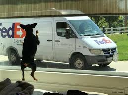 Pin On Fedex