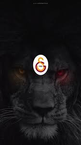 We did not find results for: 18 Gs Ideen Galatasaray Hintergrundbilder Iphone Hintergrunde